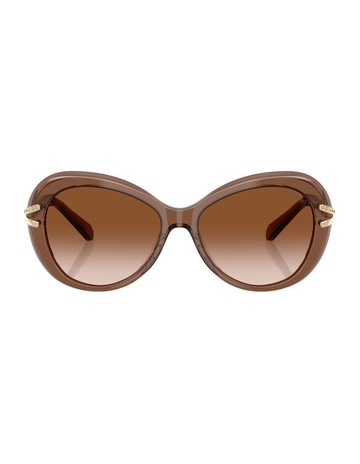 Transparent Brown colour