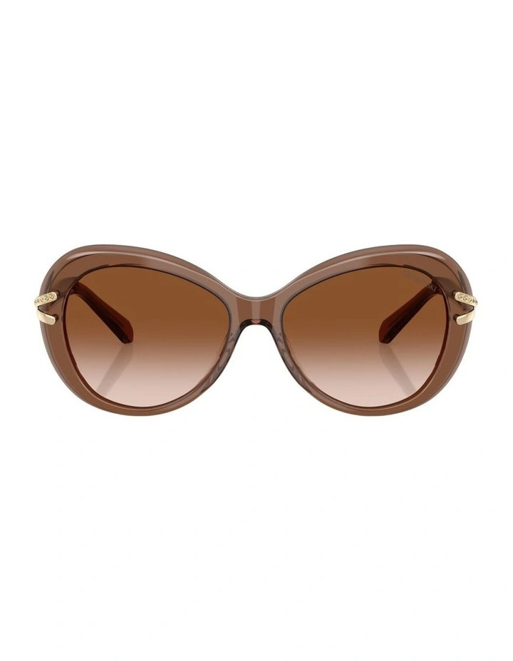 Acetate Sunglasses in Brown image 1