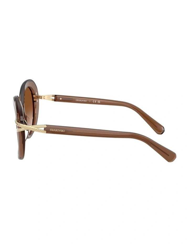 Acetate Sunglasses in Brown image 2