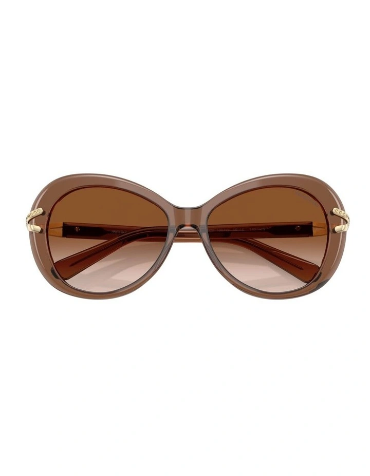 Acetate Sunglasses in Brown image 3