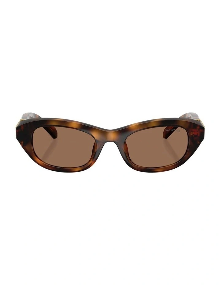 Propionate Sunglasses in Tortoise image 2