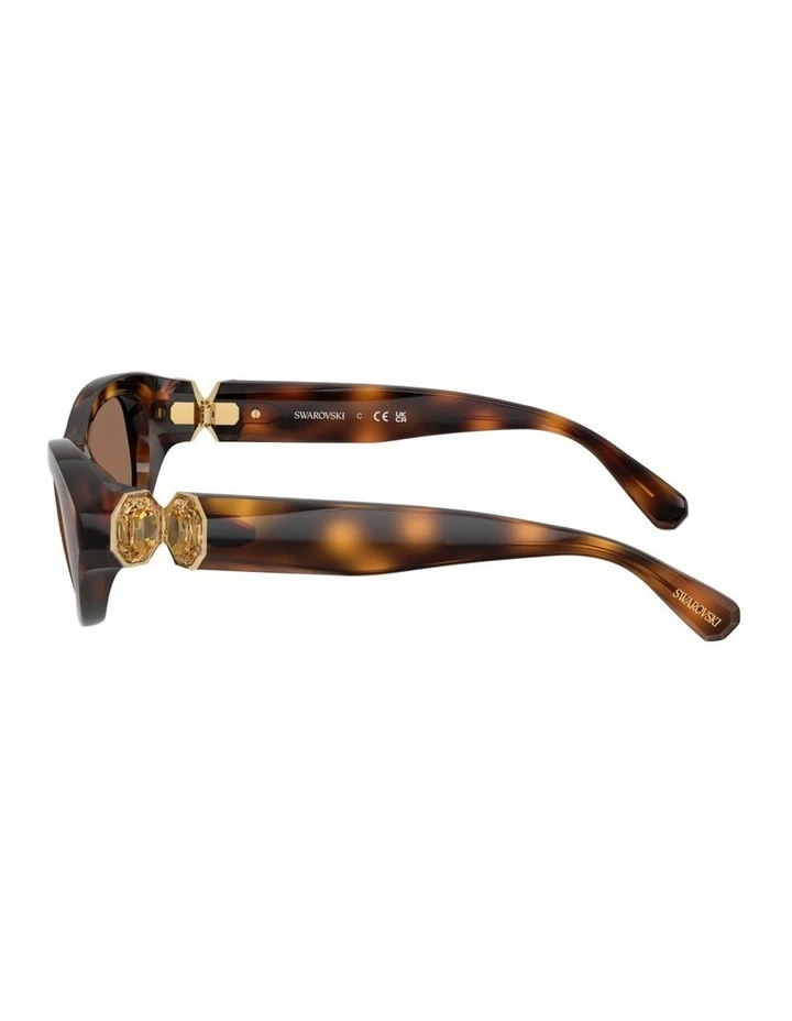 Propionate Sunglasses in Tortoise image 3