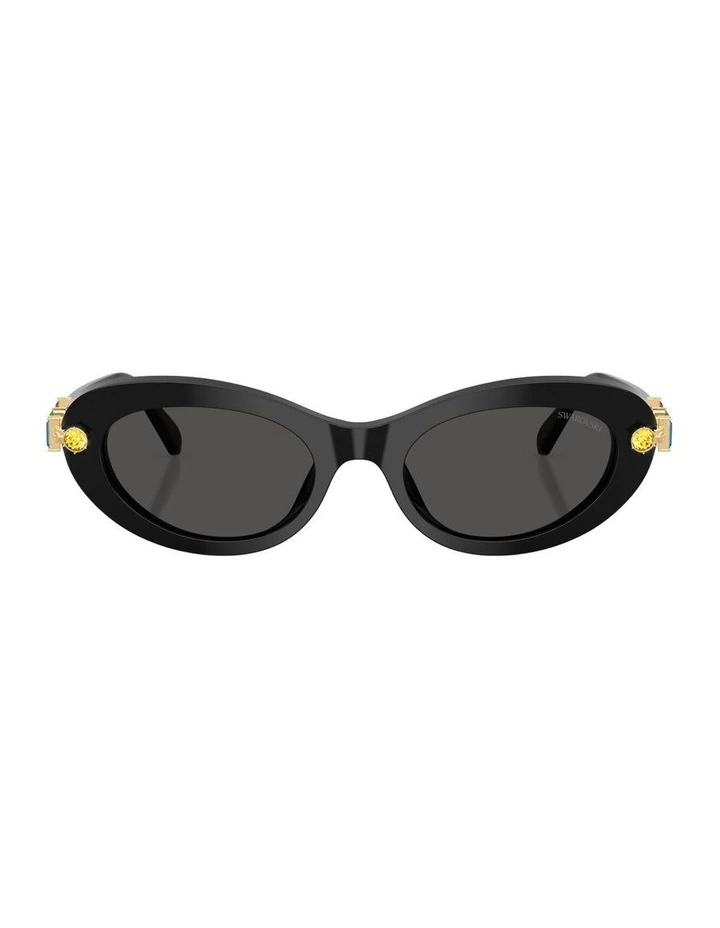 Acetate Sunglasses in Black image 1