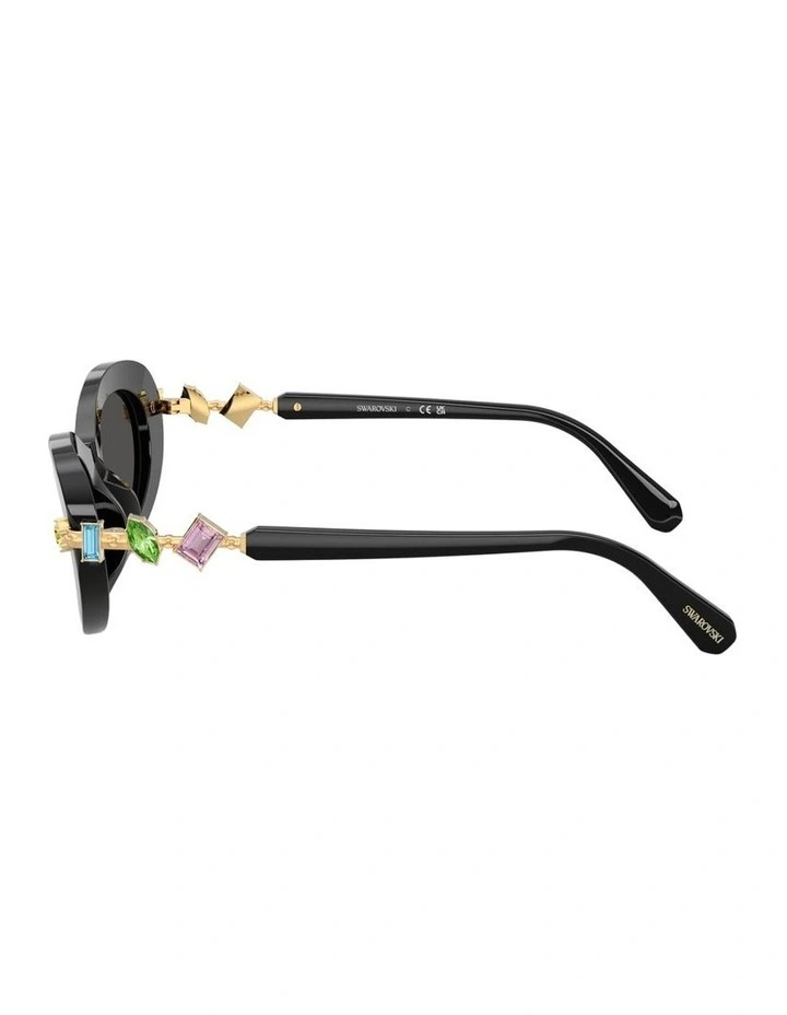 Acetate Sunglasses in Black image 2