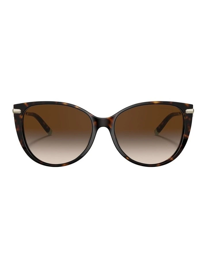 Acetate TF4178 Sunglasses in Tortoise image 2