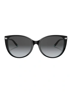 Acetate Polarised Sunglasses in Black