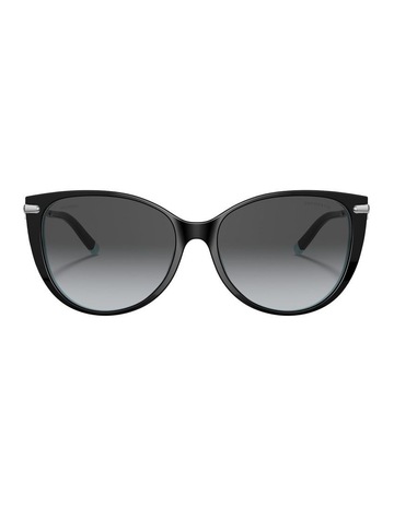Black On Tiffany Blue colour
