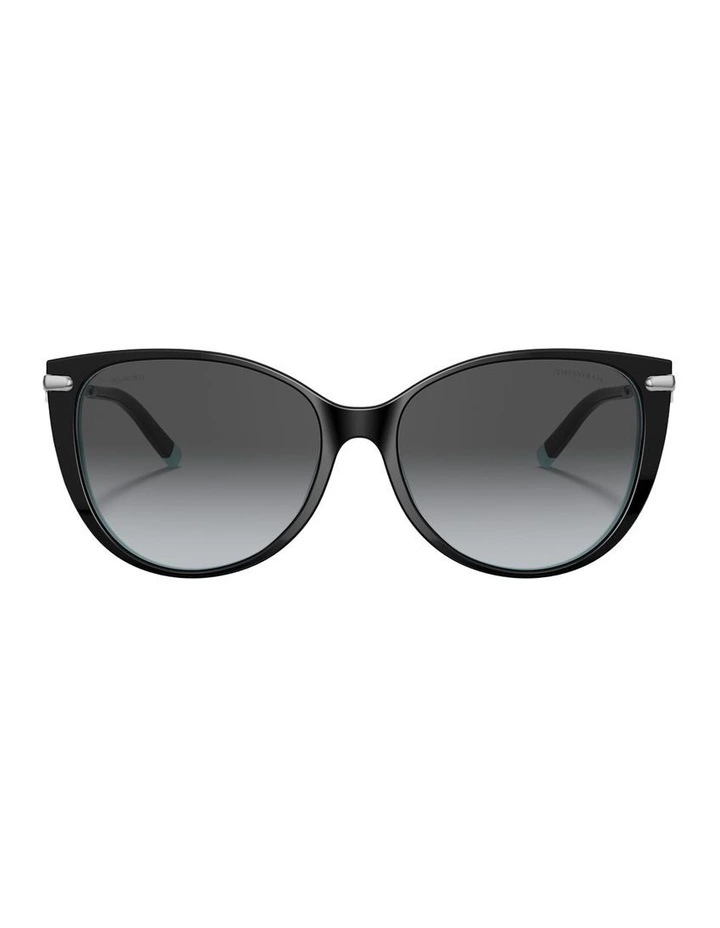 Acetate Polarised Sunglasses in Black image 1