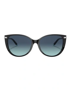 Acetate Sunglasses in Black
