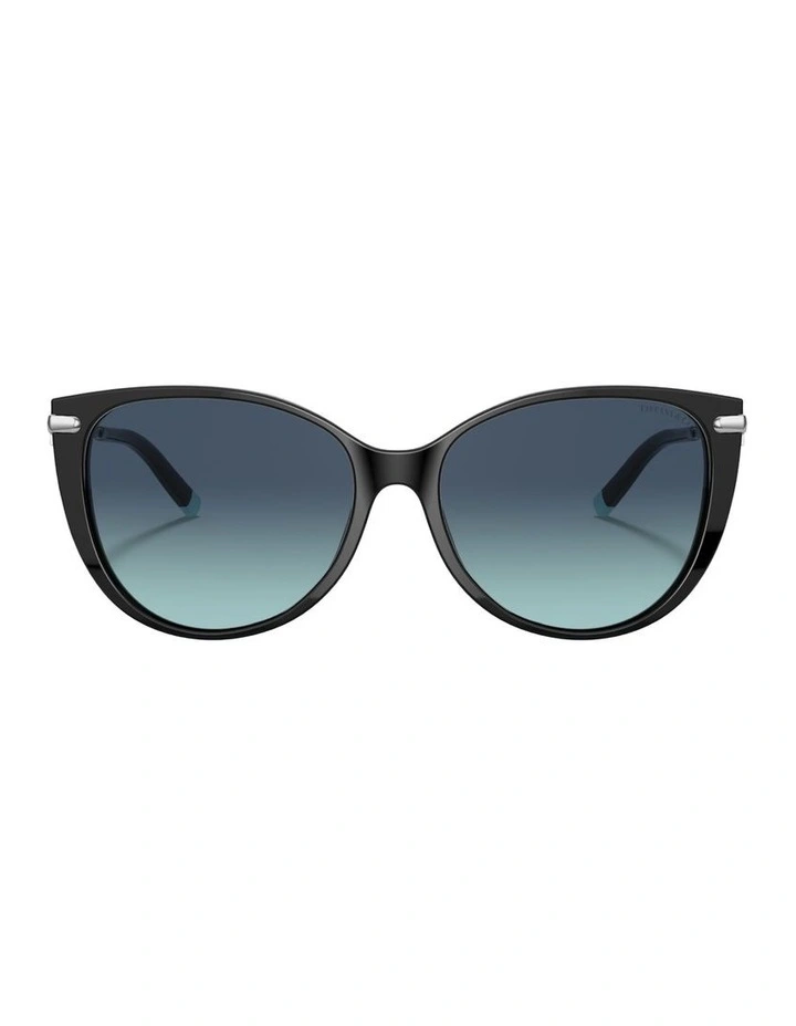 Acetate Sunglasses in Black image 1