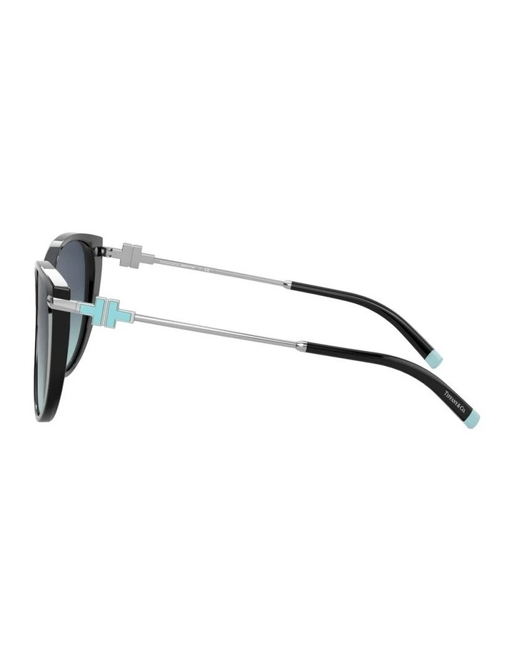 Acetate Sunglasses in Black image 2