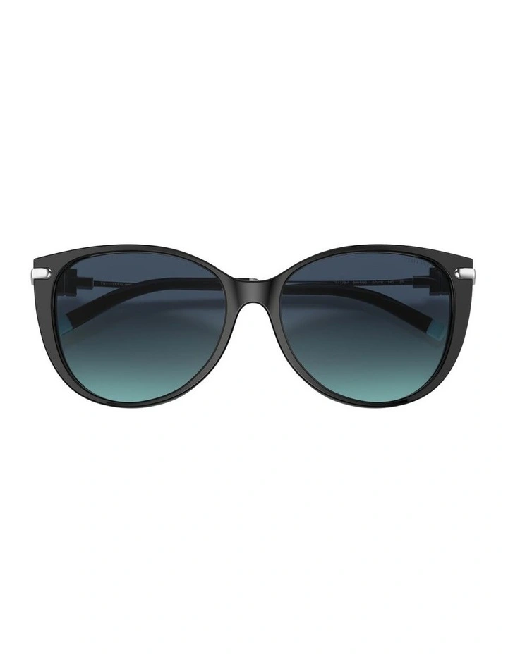 Acetate Sunglasses in Black image 3