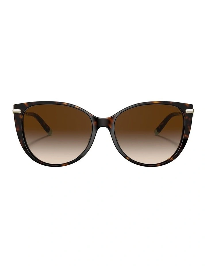 Acetate Sunglasses in Tortoise image 1
