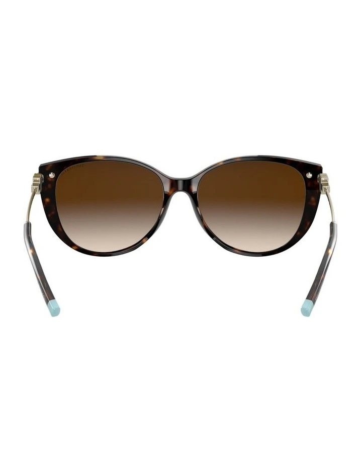 Acetate Sunglasses in Tortoise image 2