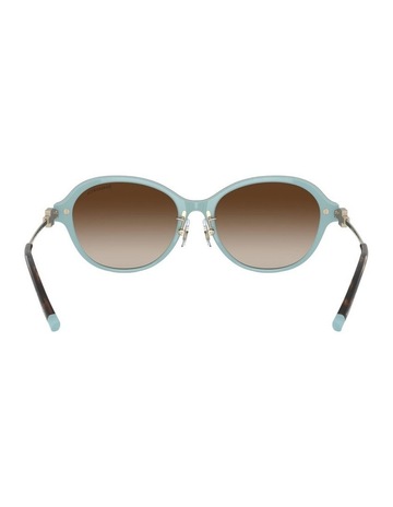 Havana On Tiffany Blue colour
