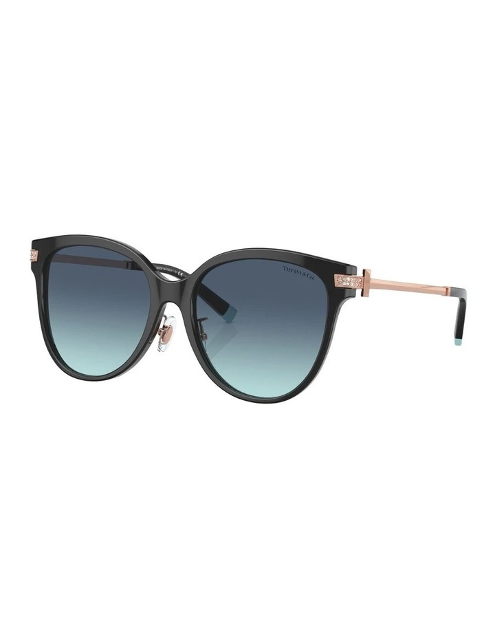 Acetate TF4193BF Sunglasses in Black image 1