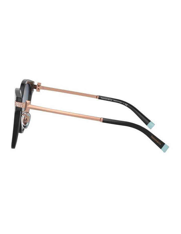 Acetate TF4193BF Sunglasses in Black image 3