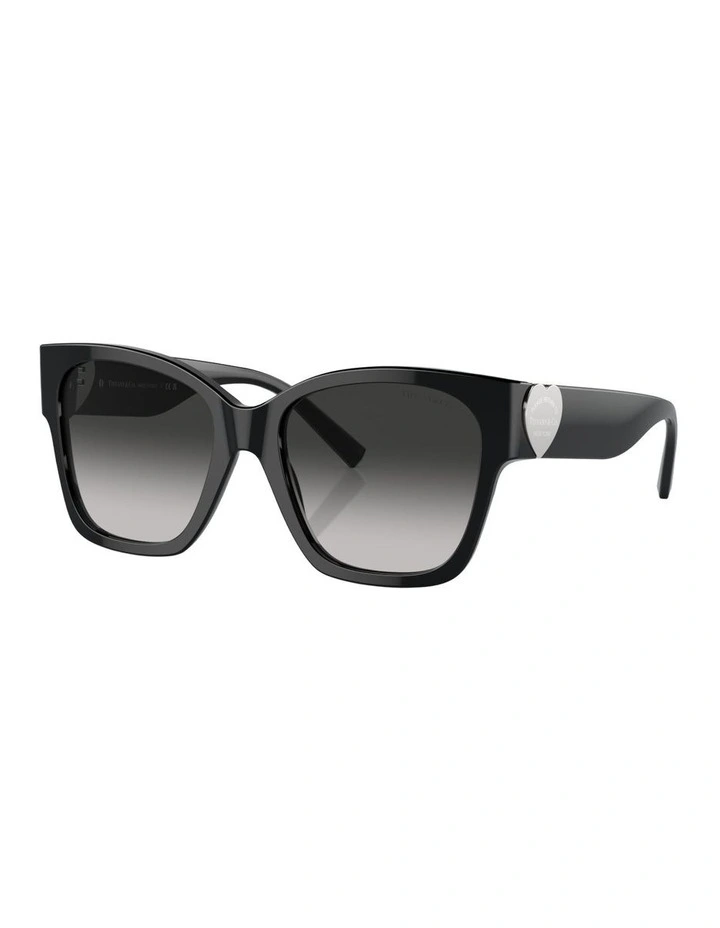 Acetate TF4216 Sunglasses in Black image 1