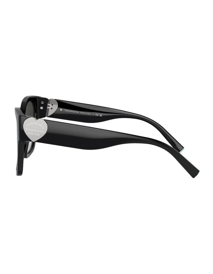 Acetate TF4216 Sunglasses in Black image 3