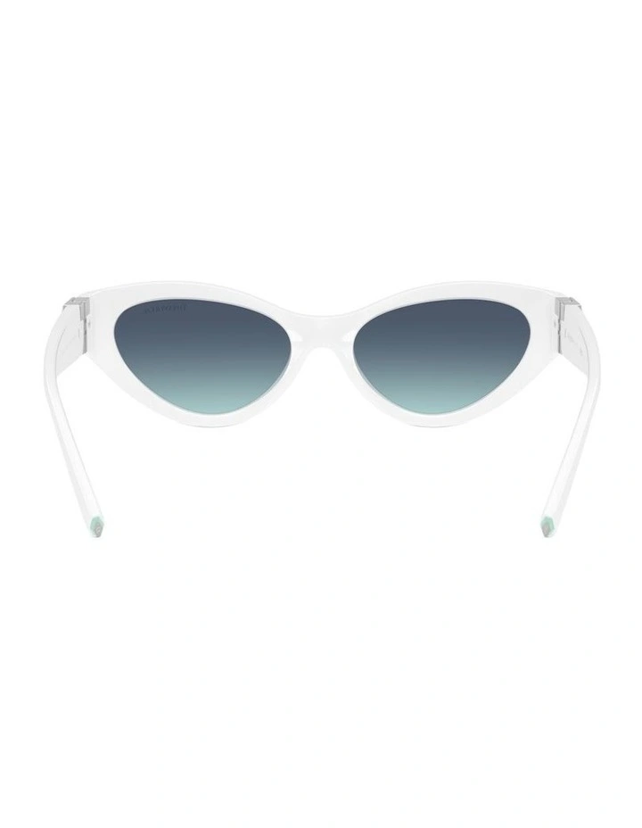 Injected Sunglasses in White image 3