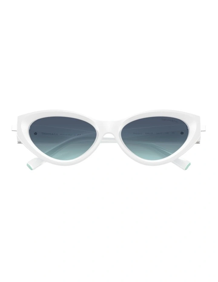 Injected Sunglasses in White image 4