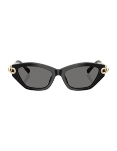 Acetate Polarised Sunglasses in Black