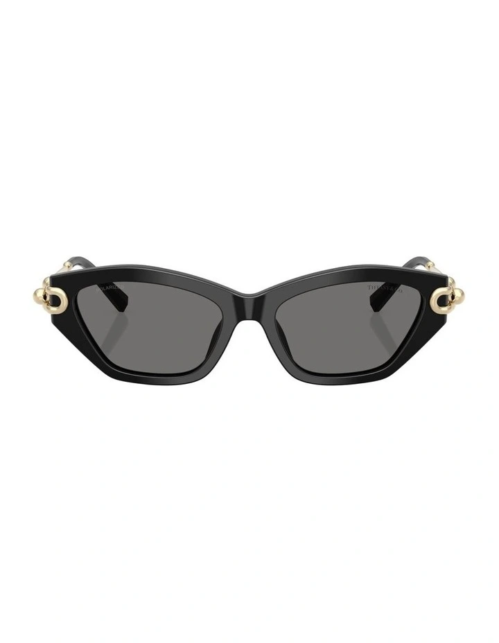 Acetate Polarised Sunglasses in Black image 2