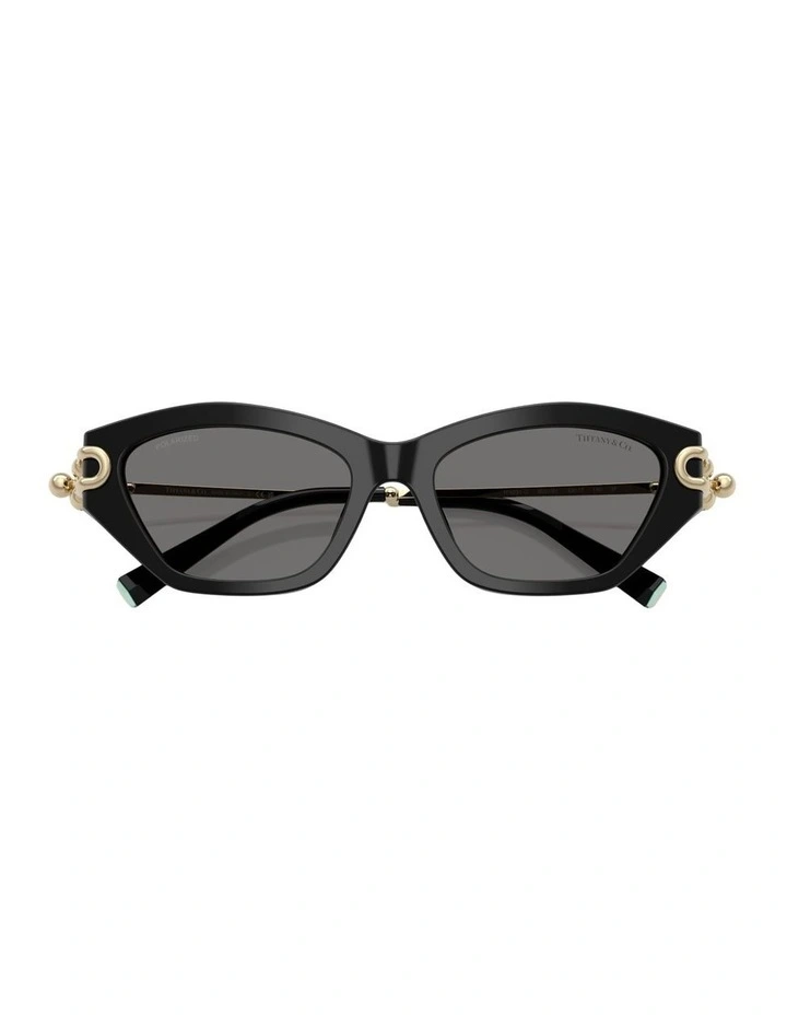 Acetate Polarised Sunglasses in Black image 3