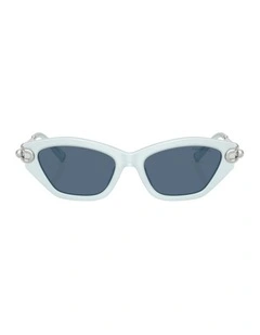 Acetate Sunglasses in Blue