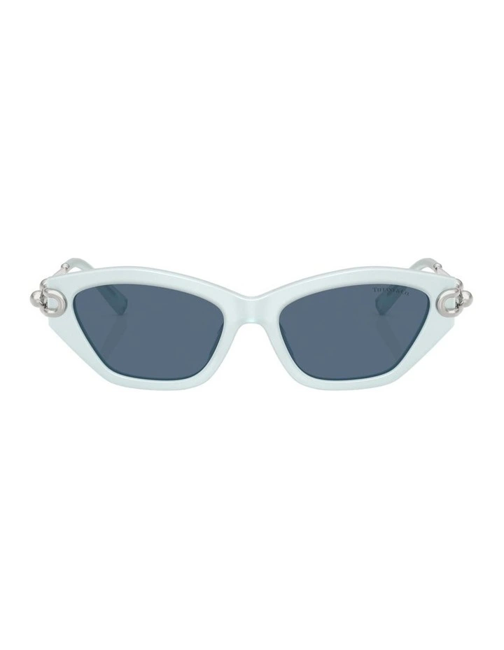 Acetate Sunglasses in Blue image 1