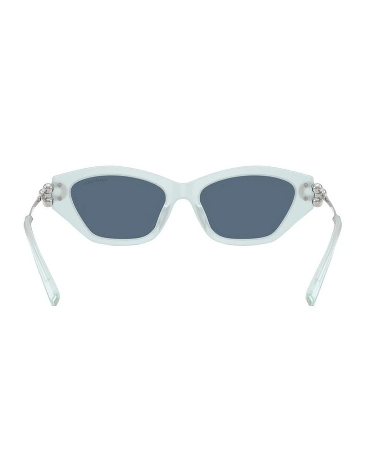 Acetate Sunglasses in Blue image 2