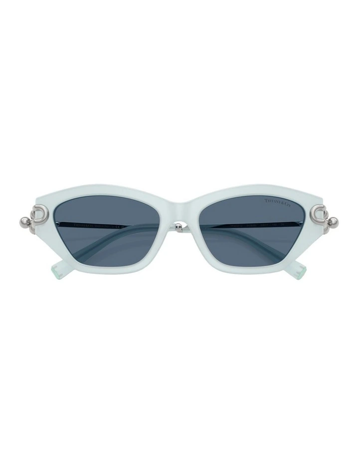 Acetate Sunglasses in Blue image 5