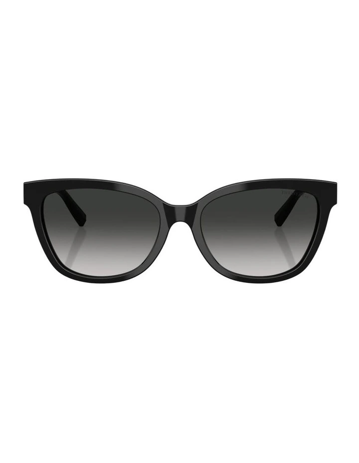 Acetate Sunglasses in Black image 1
