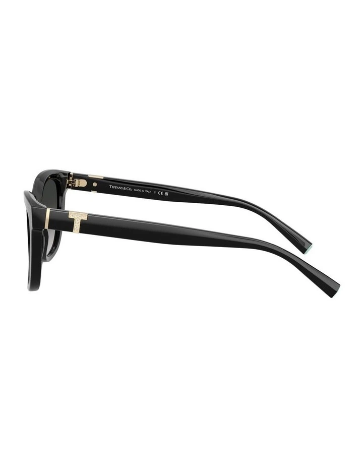 Acetate Sunglasses in Black image 2