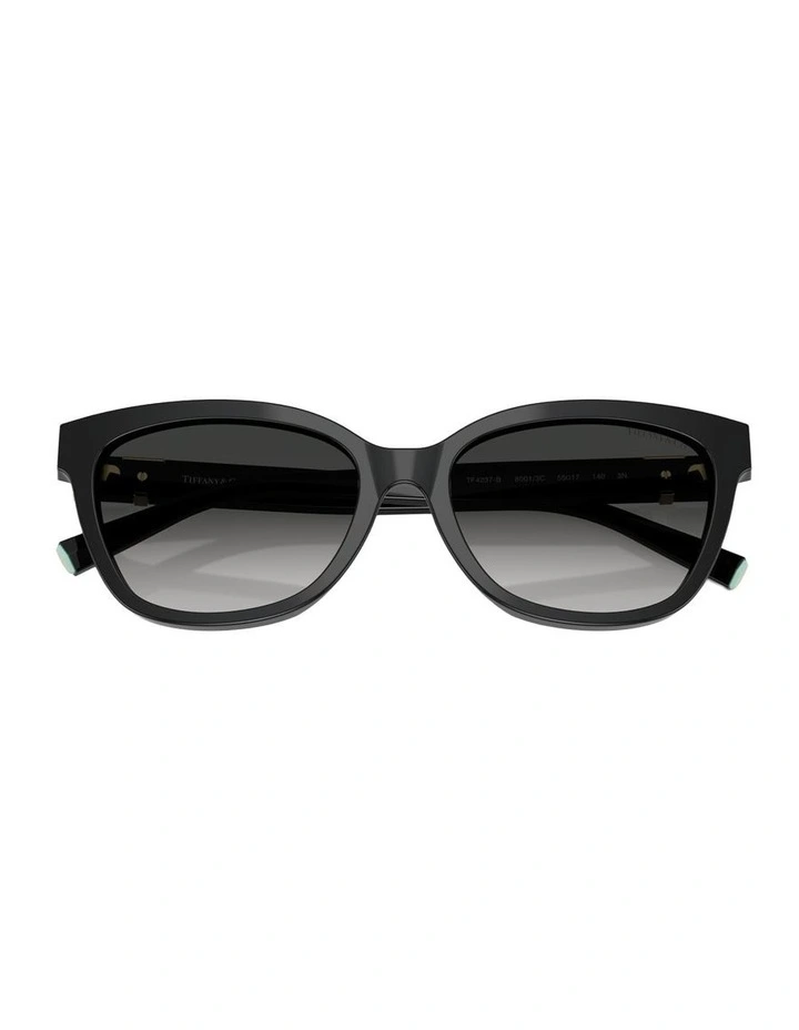 Acetate Sunglasses in Black image 3