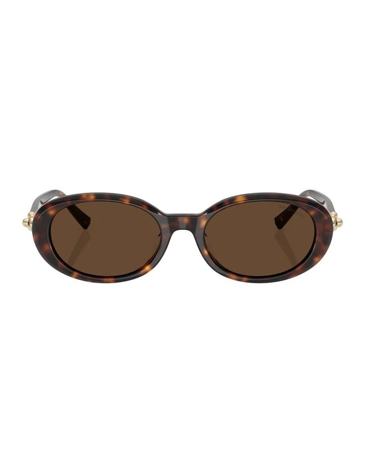 Acetate Sunglasses in Tortoise image 2