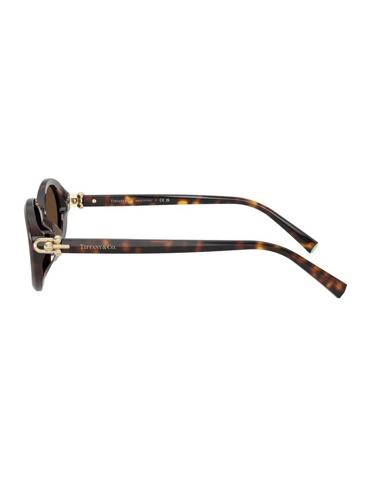 Acetate Sunglasses in Tortoise image 3