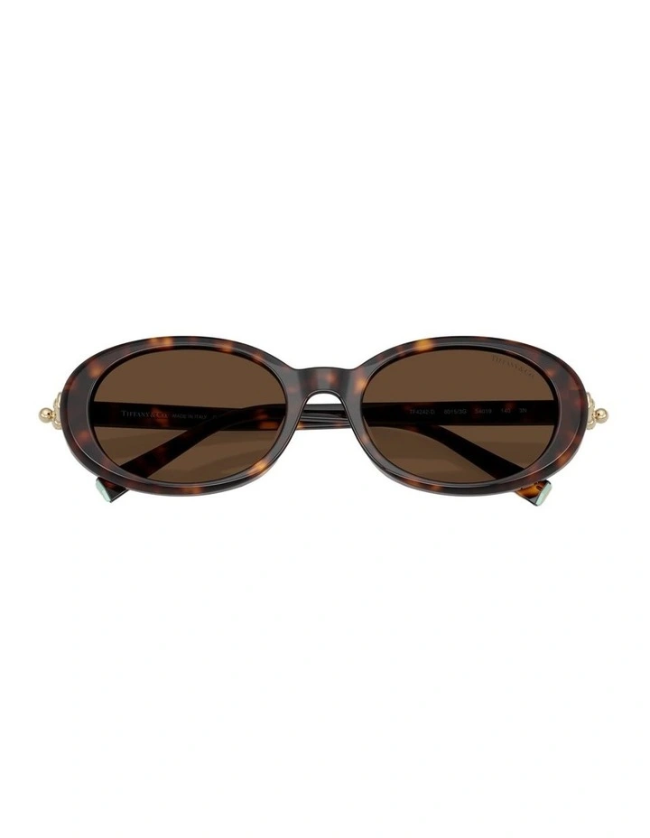 Acetate Sunglasses in Tortoise image 4