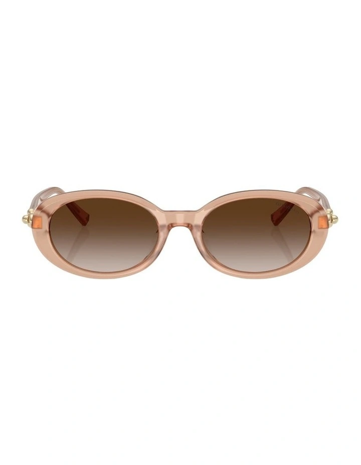 Acetate Sunglasses in Pink image 1