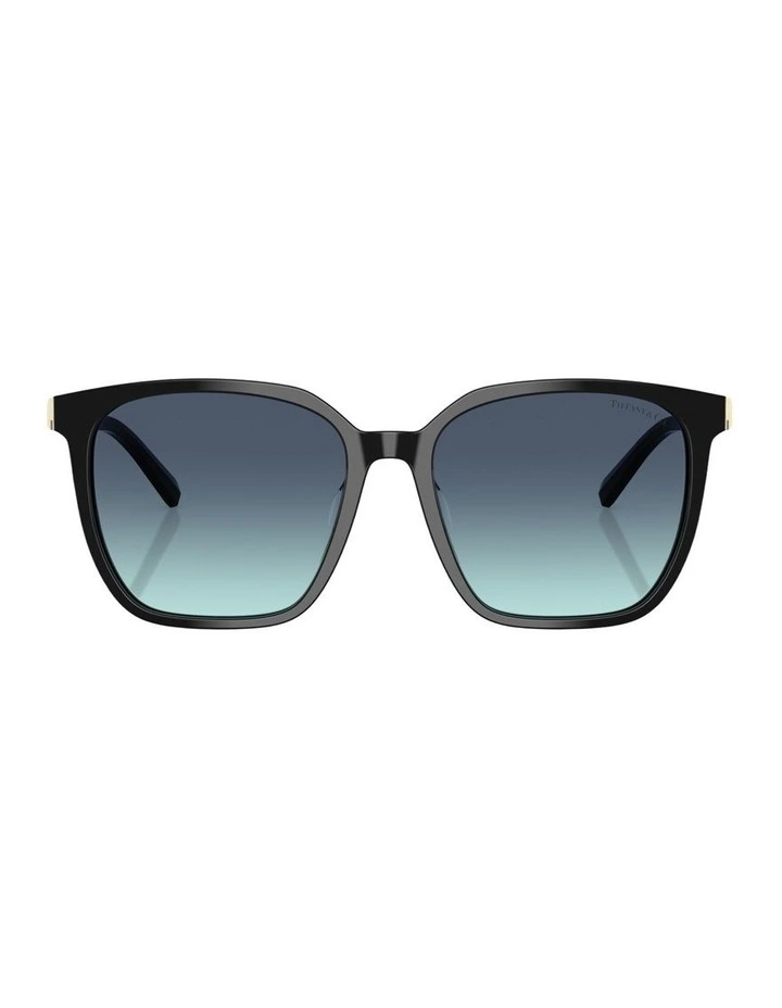Acetate Sunglasses in Black image 1