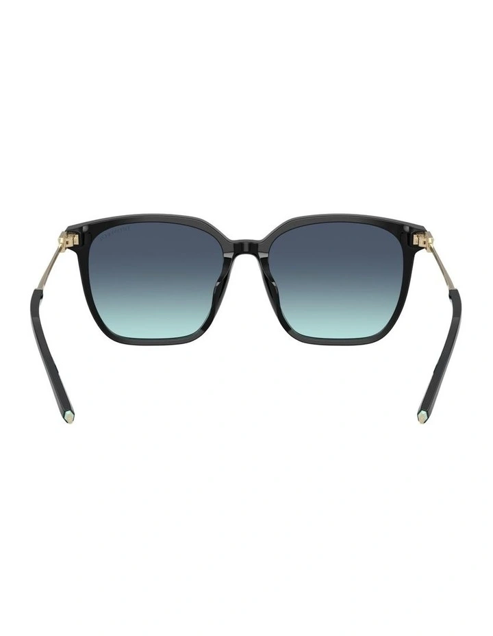 Acetate Sunglasses in Black image 2