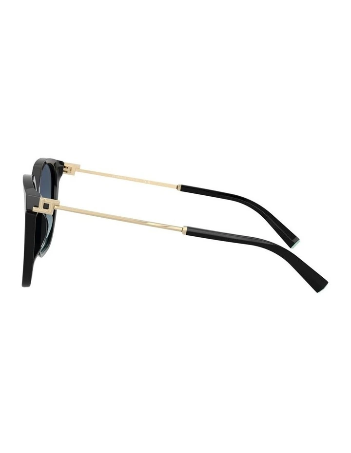 Acetate Sunglasses in Black image 3