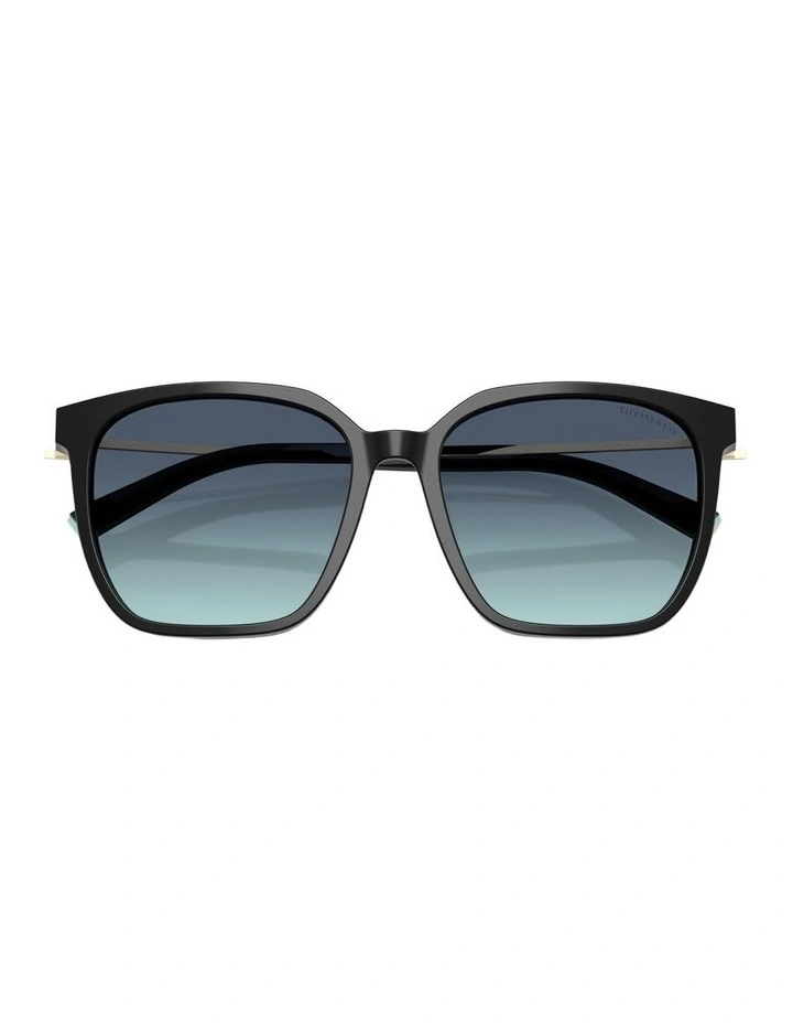 Acetate Sunglasses in Black image 4