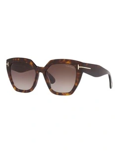 Acetate FT0939 Sunglasses in Tortoise