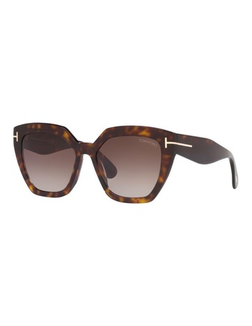 Tortoise Black colour