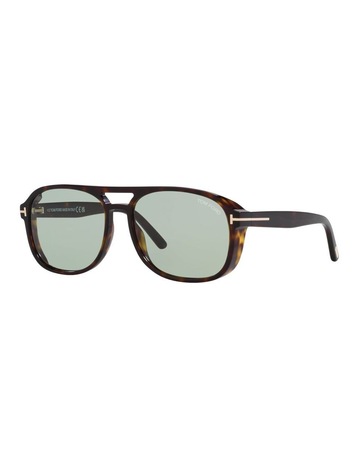 Tortoise Black colour