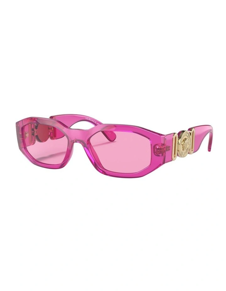 Biggie Nylon Sunglasses in Pink image 1