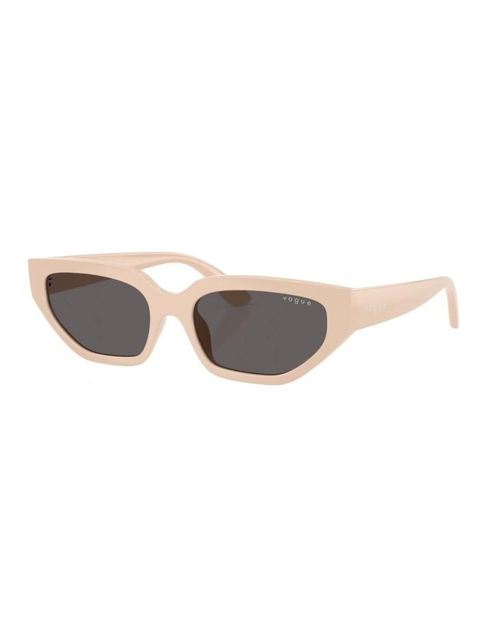 Nylon Sunglasses in Beige image 1