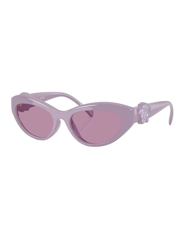 Injected Sunglasses in Violet image 1