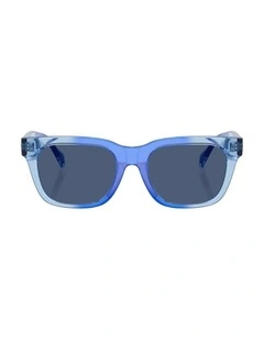 Injected Sunglasses in Blue